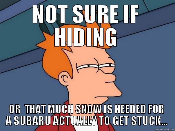 NOT SURE IF HIDING OR  THAT MUCH SNOW IS NEEDED FOR A SUBARU ACTUALLY TO GET STUCK... Futurama Fry