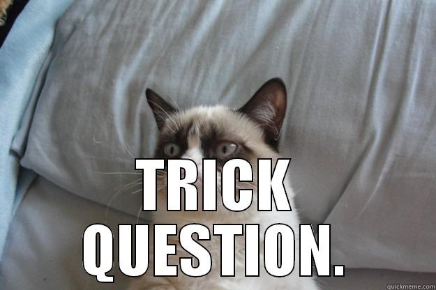  TRICK QUESTION. Grumpy Cat