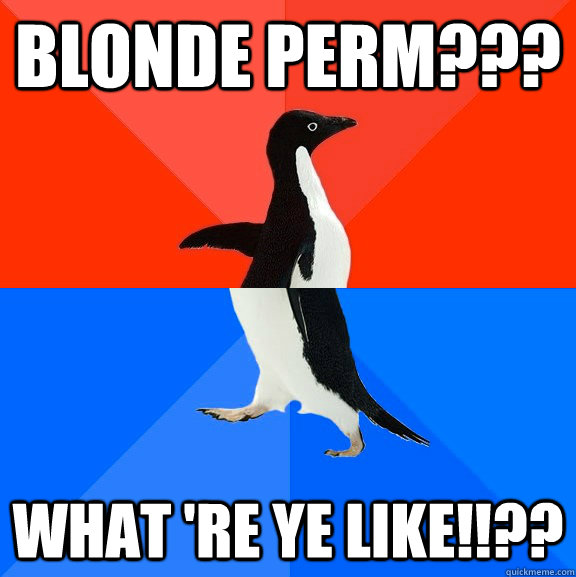 blonde perm??? what 're ye like!!?? - blonde perm??? what 're ye like!!??  Socially Awesome Awkward Penguin