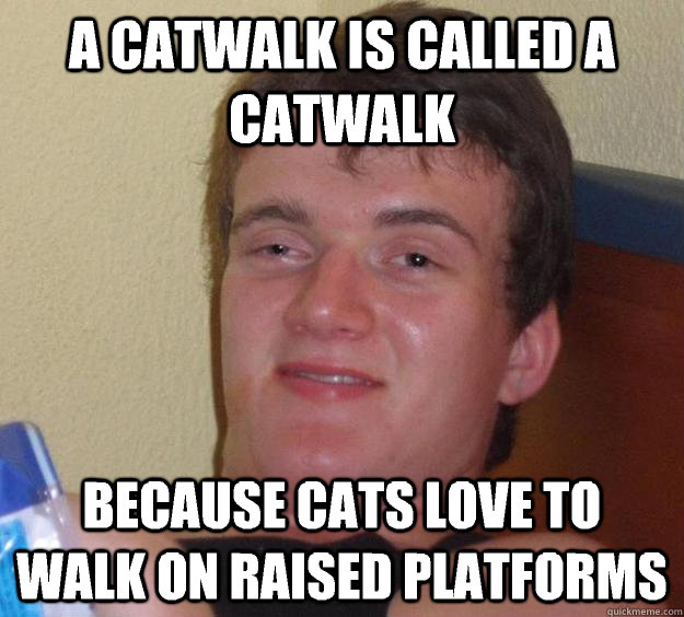 a-catwalk-is-called-a-catwalk-because-cats-love-to-walk-on-raised