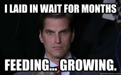 i laid in wait for months feeding... growing.  Menacing Josh Romney