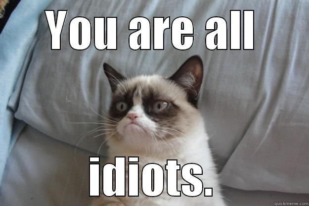You are all idiots. - YOU ARE ALL IDIOTS. Grumpy Cat