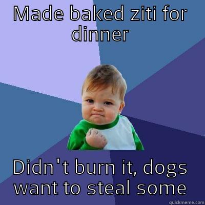 MADE BAKED ZITI FOR DINNER DIDN'T BURN IT, DOGS WANT TO STEAL SOME Success Kid