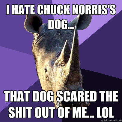 I HATE CHUCK NORRIS'S DOG... THAT DOG SCARED THE SHIT OUT OF ME... LOL   Sexually Oblivious Rhino