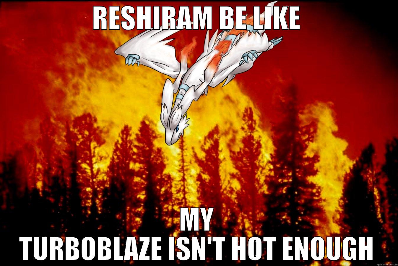 RESHIRAM BE LIKE MY TURBOBLAZE ISN'T HOT ENOUGH Misc