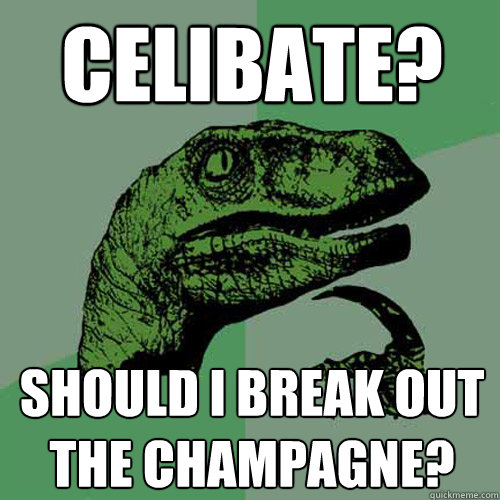 celibate?  should i break out the champagne?   Philosoraptor