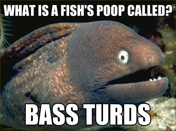 What is a fish's poop called? Bass Turds - What is a fish's poop called? Bass Turds  Bad Joke Eel