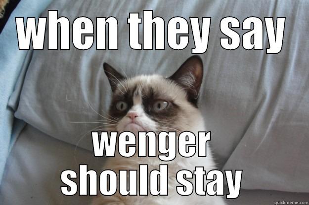 loss of senses - WHEN THEY SAY WENGER SHOULD STAY Grumpy Cat