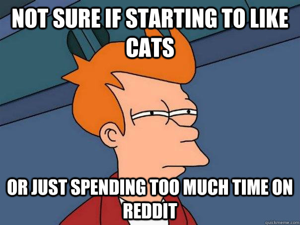 Not sure if starting to like cats or just spending too much time on reddit  Futurama Fry