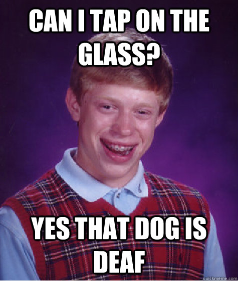 can i tap on the glass? yes that dog is deaf  Bad Luck Brian