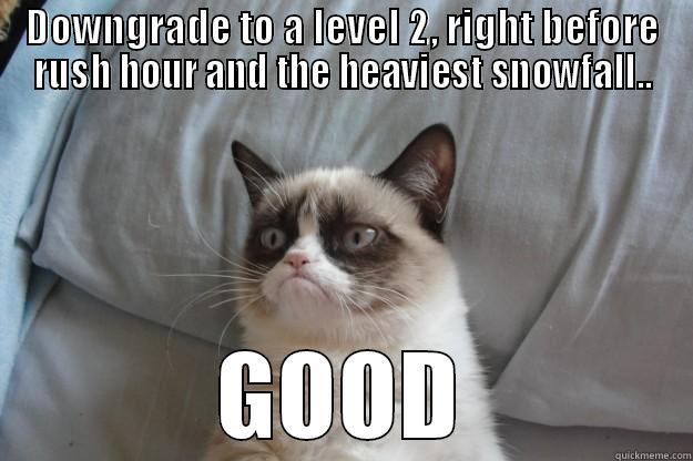 DOWNGRADE TO A LEVEL 2, RIGHT BEFORE RUSH HOUR AND THE HEAVIEST SNOWFALL.. GOOD Grumpy Cat