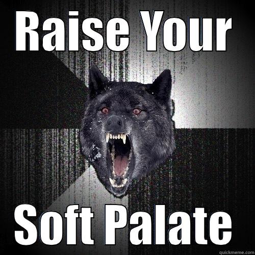 RAISE YOUR SOFT PALATE Insanity Wolf