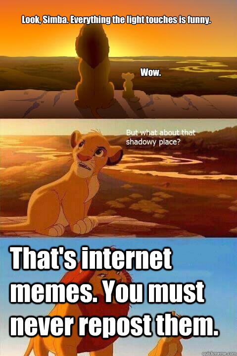 Look, Simba. Everything the light touches is funny. Wow. What about the dark places? That's internet memes. You must never repost them.  Lion King Shadowy Place