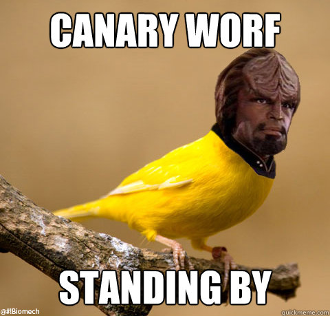 Canary Worf Standing BY - Canary Worf Standing BY  Canary Worf