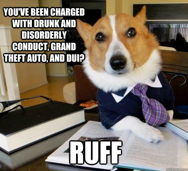 You've been charged with drunk and disorderly conduct, grand theft auto, and dui? RUFF - You've been charged with drunk and disorderly conduct, grand theft auto, and dui? RUFF  Lawyer Dog