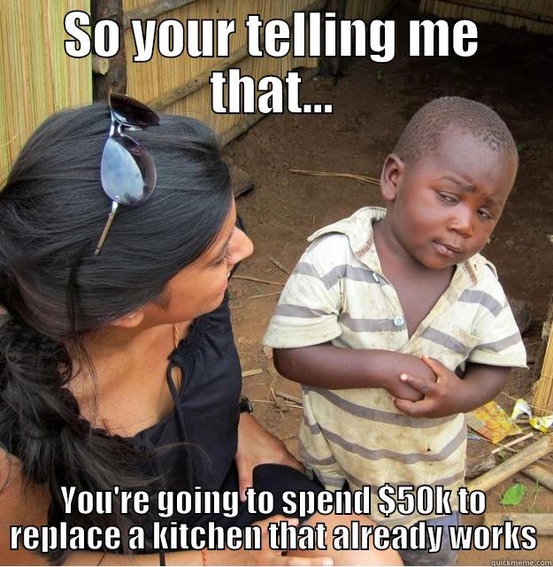 SO YOUR TELLING ME THAT... YOU'RE GOING TO SPEND $50K TO REPLACE A KITCHEN THAT ALREADY WORKS Skeptical Third World Kid