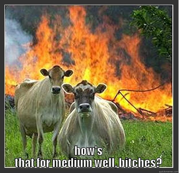  HOW'S THAT FOR MEDIUM WELL, BITCHES? Evil cows