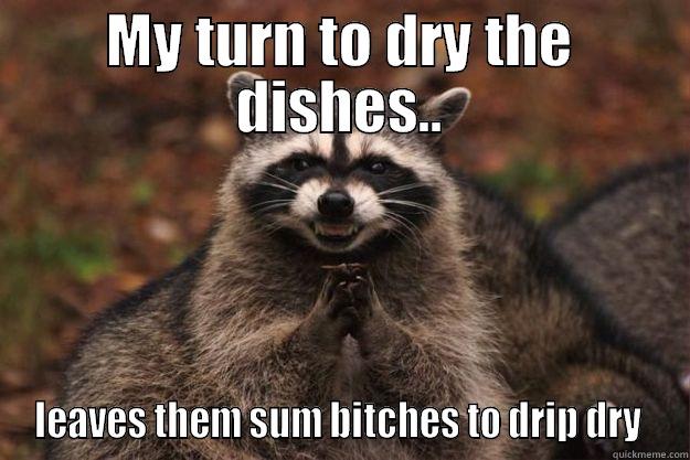 MY TURN TO DRY THE DISHES.. LEAVES THEM SUM BITCHES TO DRIP DRY  Evil Plotting Raccoon