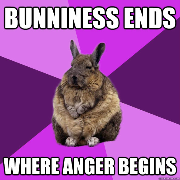 Bunniness ends where anger begins  Wise Wondering Viscacha