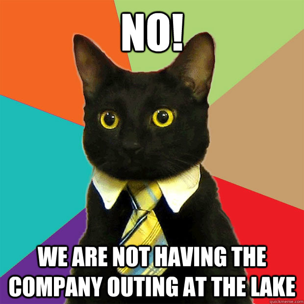 NO! We are not having the company outing at the lake  Business Cat