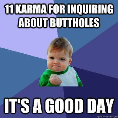 11 Karma for inquiring about buttholes It's a good day - 11 Karma for inquiring about buttholes It's a good day  Success Kid