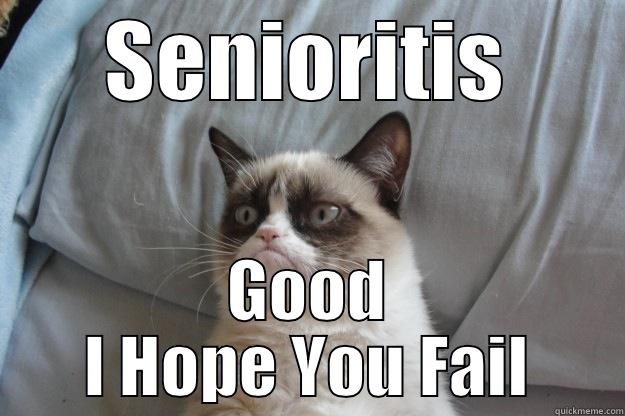 finals week - SENIORITIS GOOD I HOPE YOU FAIL Grumpy Cat