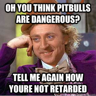 oh you think pitbulls are dangerous? tell me again how youre not retarded  Condescending Wonka