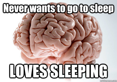 Never wants to go to sleep LOVES SLEEPING  Scumbag Brain