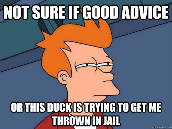 Not sure if good advice Or this duck is trying to get me thrown in jail  Futurama Fry