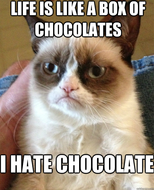 Life is like a box of chocolates I HATE CHOCOLATE - Life is like a box of chocolates I HATE CHOCOLATE  Grumpy Cat