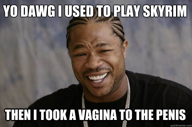 YO DAWG I USED TO PLAY SKYRIm
 THEN I TOOK A VAGINA TO THE PENIS - YO DAWG I USED TO PLAY SKYRIm
 THEN I TOOK A VAGINA TO THE PENIS  Xzibit meme