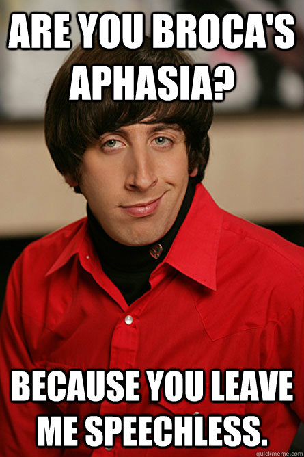 Are you Broca's Aphasia? Because you leave me speechless.  Pickup Line Scientist