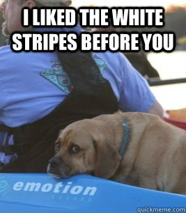 I liked The White Stripes before you - I liked The White Stripes before you  Emo Dog