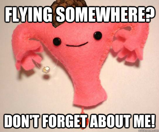 flying somewhere? Don't forget about me!  Scumbag Uterus