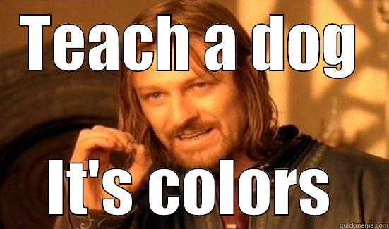 TEACH A DOG IT'S COLORS Boromir