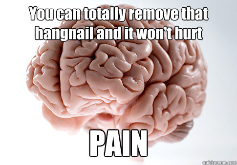 You can totally remove that hangnail and it won't hurt PAIN  Scumbag Brain