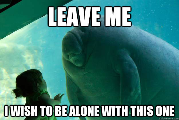 Leave me I wish to be alone with this one - Leave me I wish to be alone with this one  Overlord Manatee