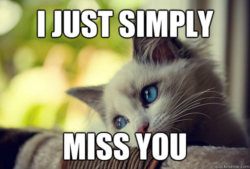 I just simply Miss you - I just simply Miss you  First World Problems Cat