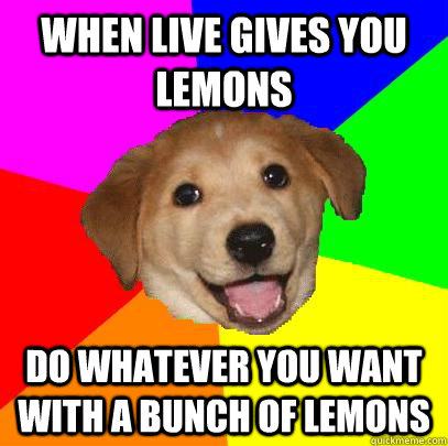 When live gives you lemons do whatever you want with a bunch of lemons  Advice Dog