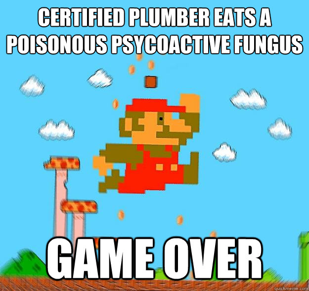 certified plumber eats a poisonous psycoactive fungus game over  