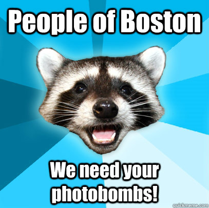 People of Boston We need your photobombs!   Lame Pun Coon