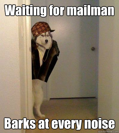 Waiting for mailman Barks at every noise  Scumbag dog