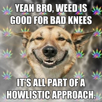 Yeah bro, weed is good for bad knees it's all part of a howlistic approach.  Stoner Dog