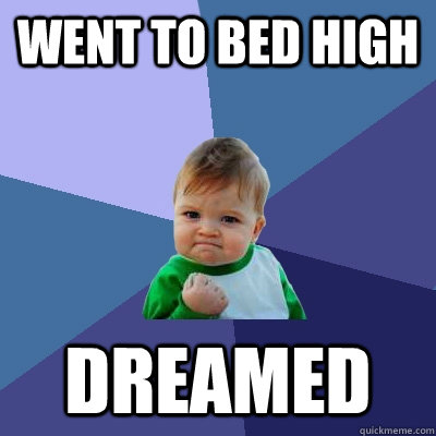 Went to bed high Dreamed  Success Kid