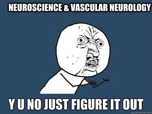 neuroscience & vascular neurology y u no just figure it out - neuroscience & vascular neurology y u no just figure it out  Y U No