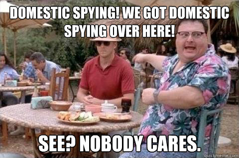 DOMESTIC SPYING! WE GOT DOMESTIC SPYING OVER HERE! See? Nobody cares.  