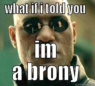 WHAT IF I TOLD YOU  IM A BRONY Matrix Morpheus