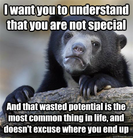 I want you to understand that you are not special And that wasted potential is the most common thing in life, and doesn't excuse where you end up  Confession Bear