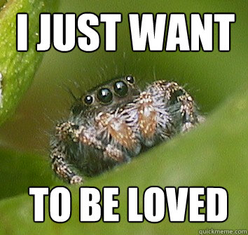 I just want to be loved  Misunderstood Spider