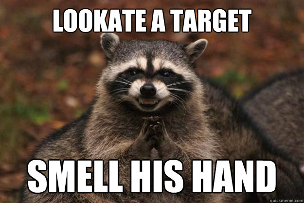 Lookate a target Smell his hand   Evil Plotting Raccoon